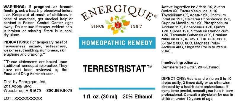 Terrestristat